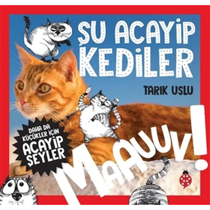 Daha Küçükler İçin Şu Acayip Kediler
