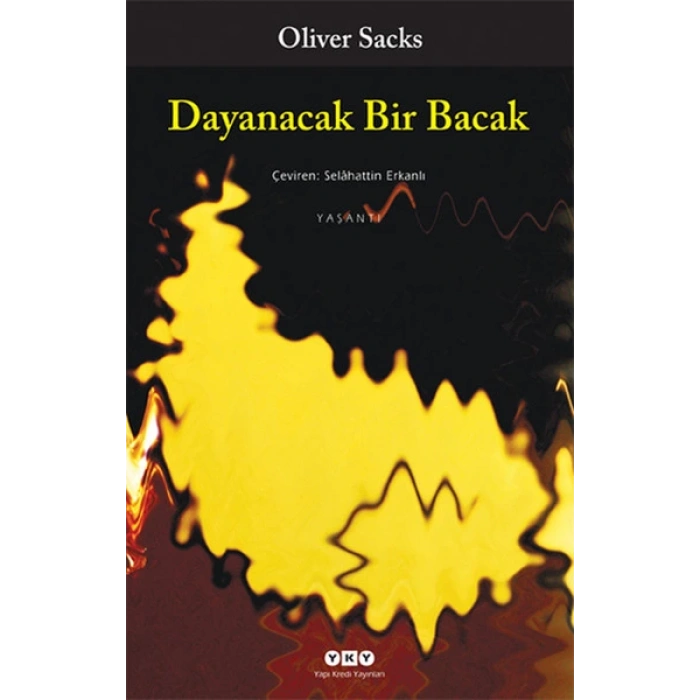 Dayanacak Bir Bacak