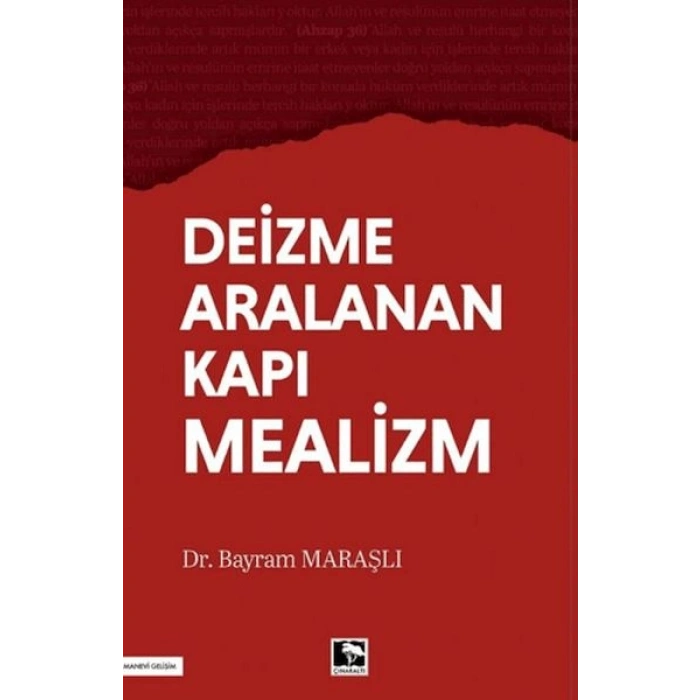 Deizme Aralanan Kapı Mealizm