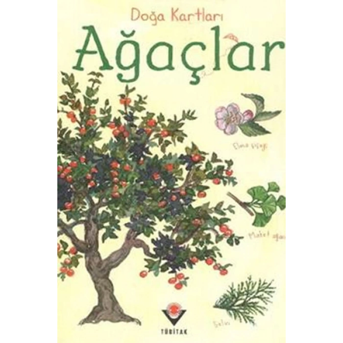 Doğa Kartları - Ağaçlar