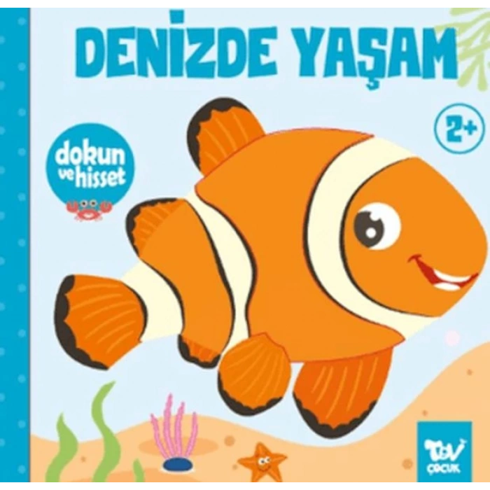 Dokun ve Hisset Denizde Yaşam