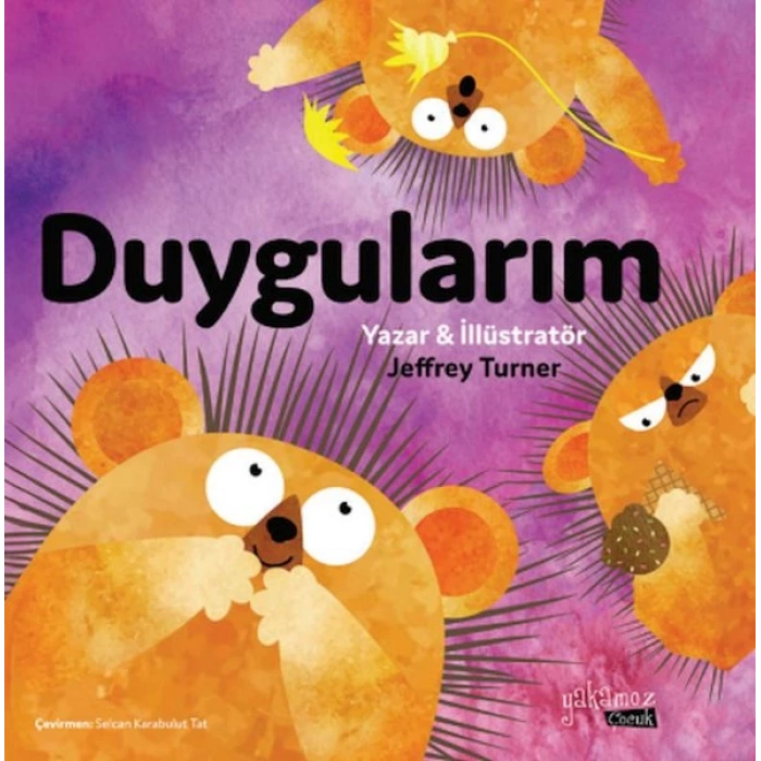 Duygularım