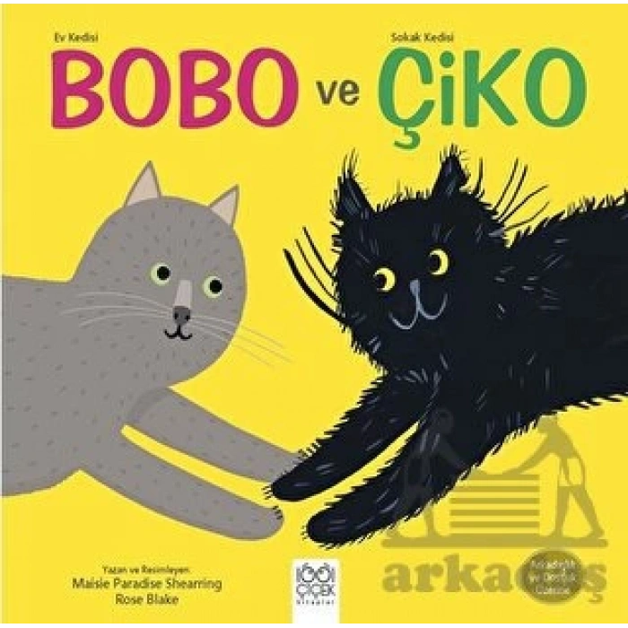 Ev Kedisi Bobo ve Sokak Kedisi Çiko- Arkadaşlık ve Dostluk Üzerine