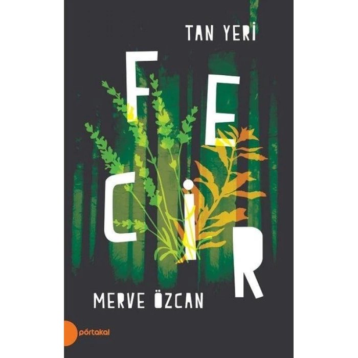 Fecir - Tan Yeri 2