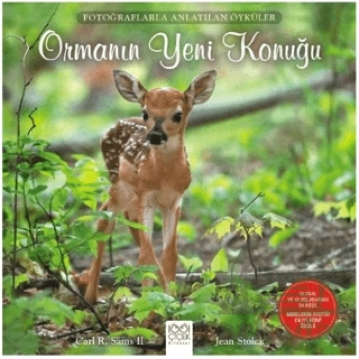 Fotoğraflarla Anlatılan Öyküler - Ormanın Yeni Konuğu