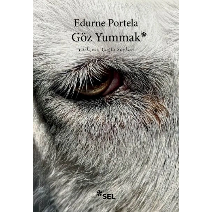 Göz Yummak