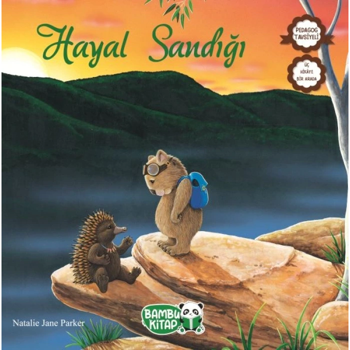 Hayal Sandığı