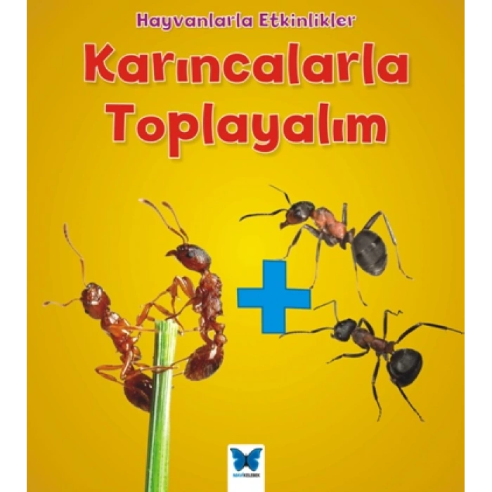Hayvanlarla Etkinlikler - Karıncalarla Toplayalım