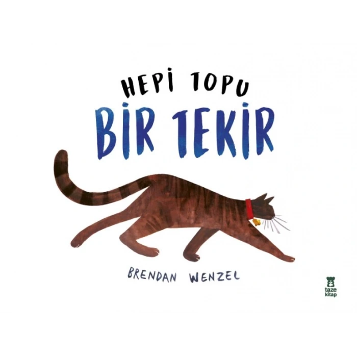 Hepi Topu Bir Tekir