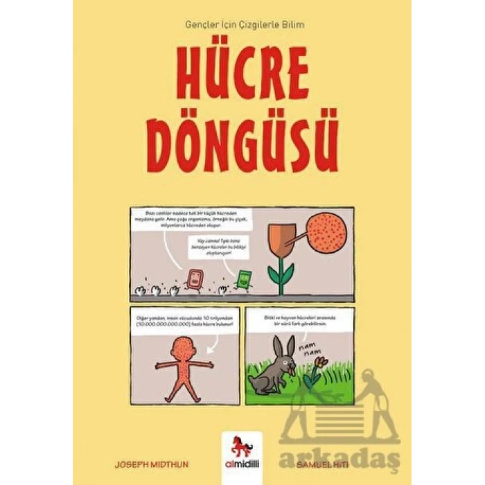 Hücre Döngüsü - Gençler İçin Çizgilerle Bilim