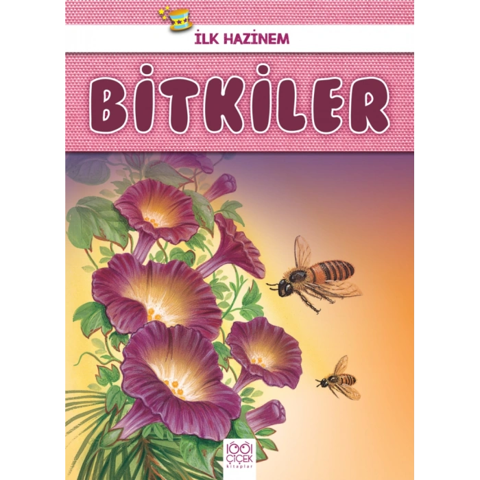 İlk Hazinem - Bitkiler