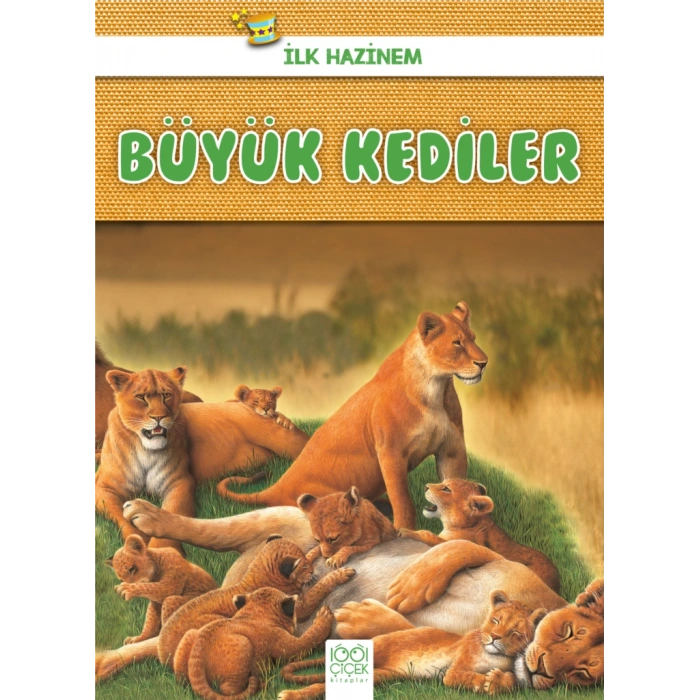 İlk Hazinem - Büyük Kediler