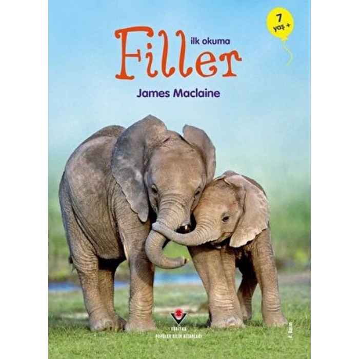 İlk Okuma - Filler