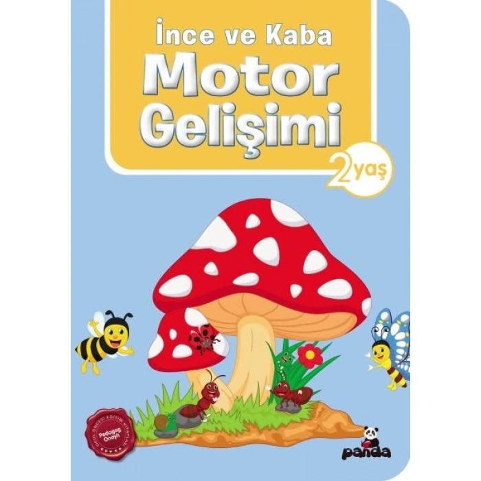 İnce ve Kaba Motor Gelişimi 2 Yaş