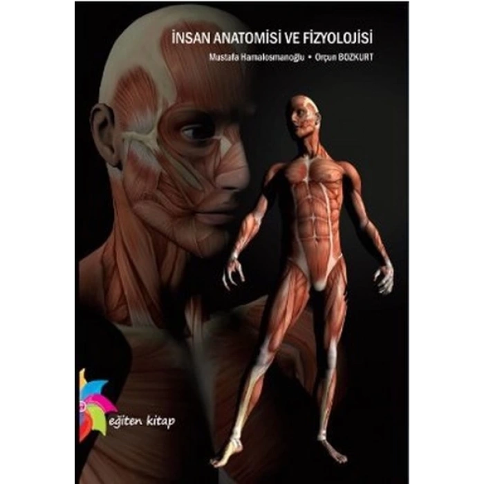 İnsan Anatomisi ve Fizyolojisi