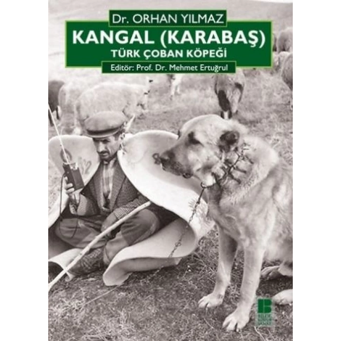 Kangal (Karabaş) Türk Çoban Köpeği