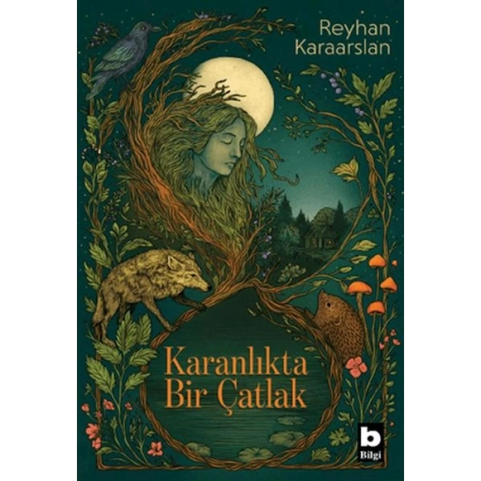 Karanlıkta Bir Çatlak