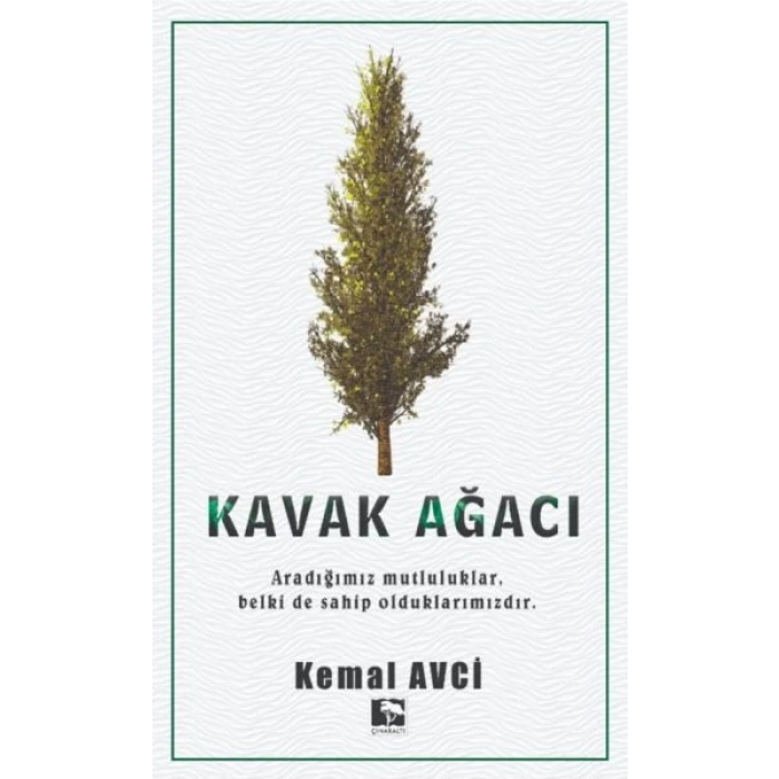 Kavak Ağacı