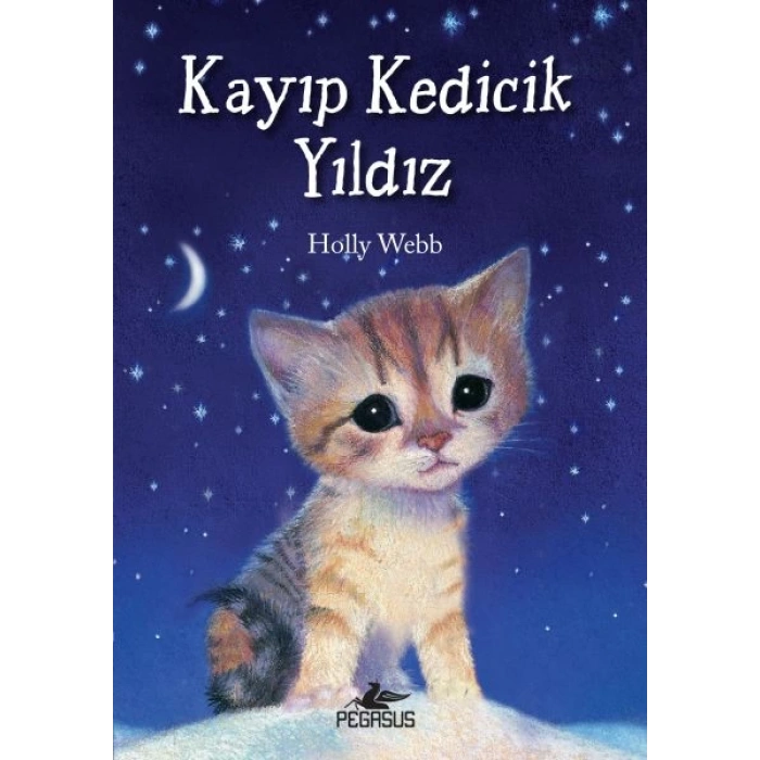 Kayıp Kedicik Yıldız