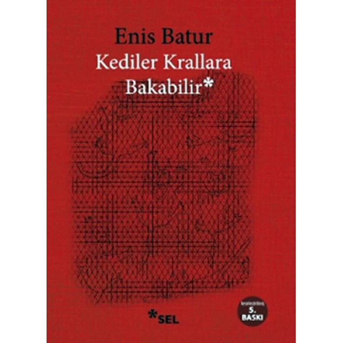 Kediler Krallara Bakabilir