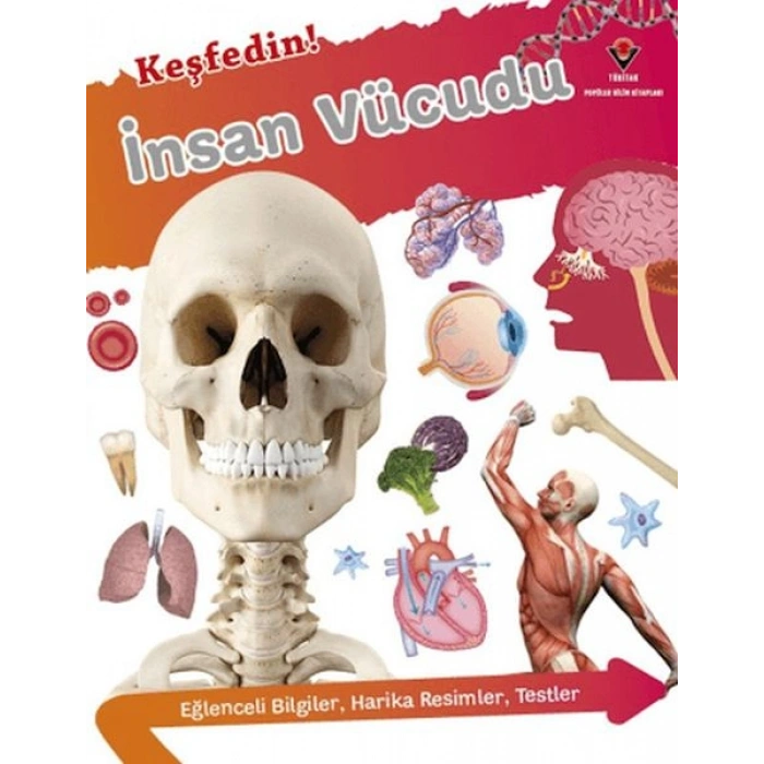 Keşfedin! İnsan Vücüdu