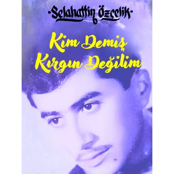 Kim Demiş Kırgın Değilim