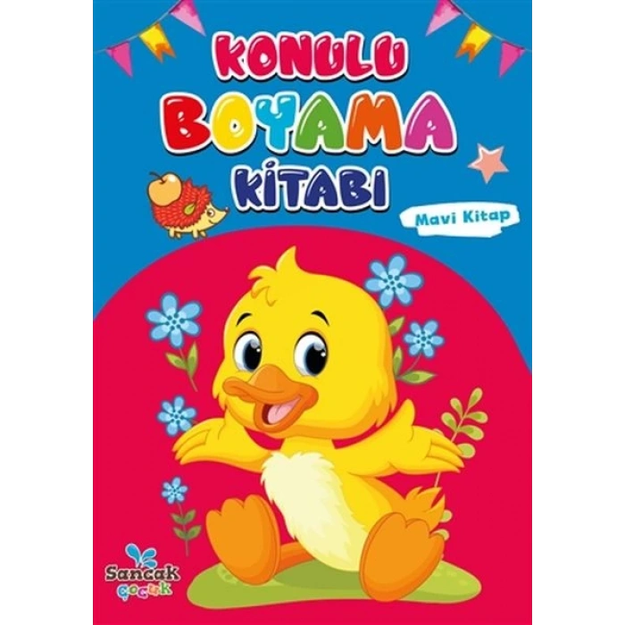 Konulu Boyama Kitabı - Mavi Kitap