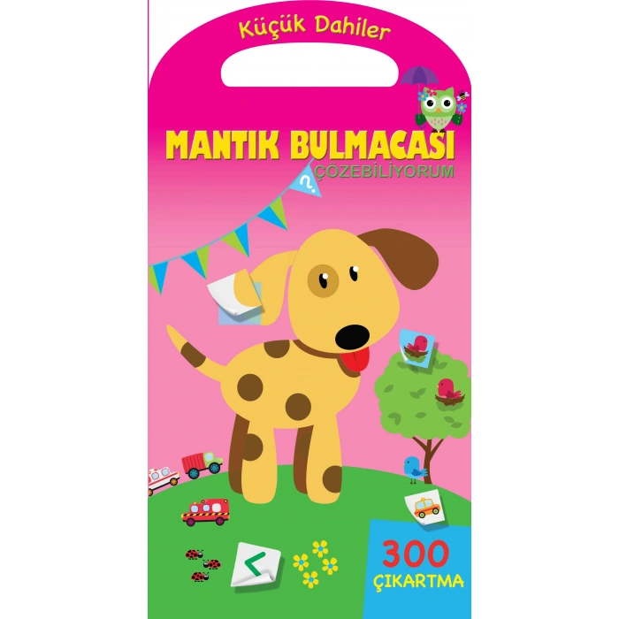 Küçük Dahiler - Mantık Bulmacaları Çözebiliyorum