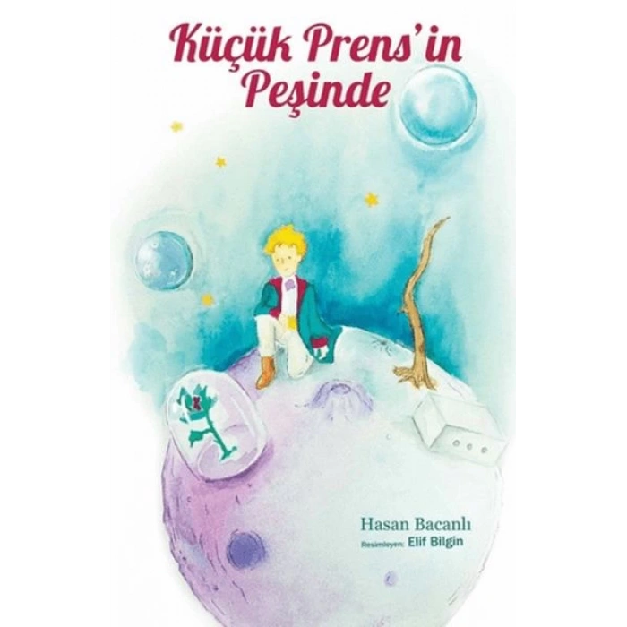 Küçük Prensin Peşinde