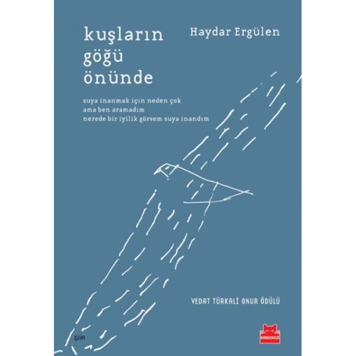 Kuşların Göğü Önünde