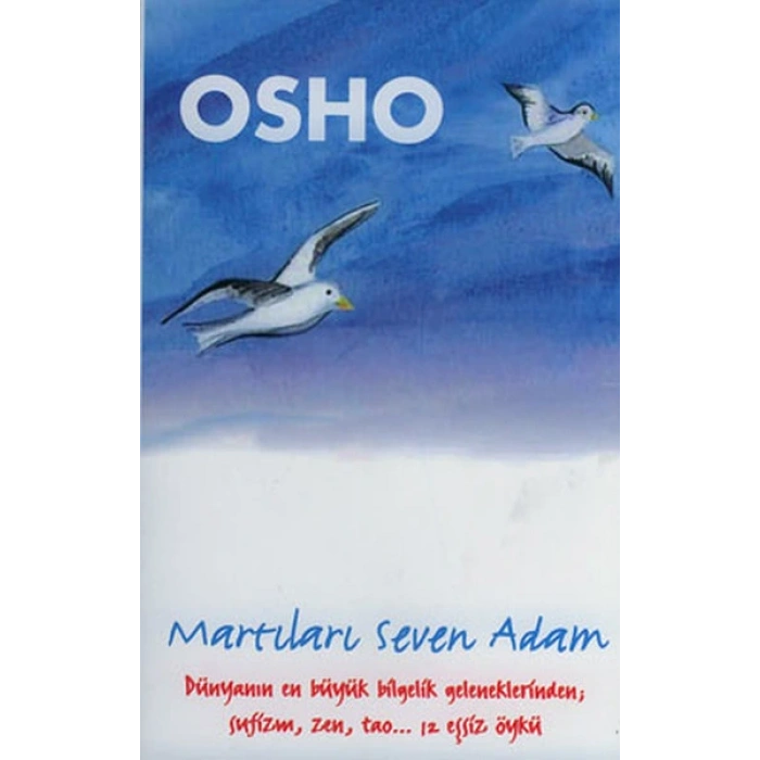 Martıları Seven Adam