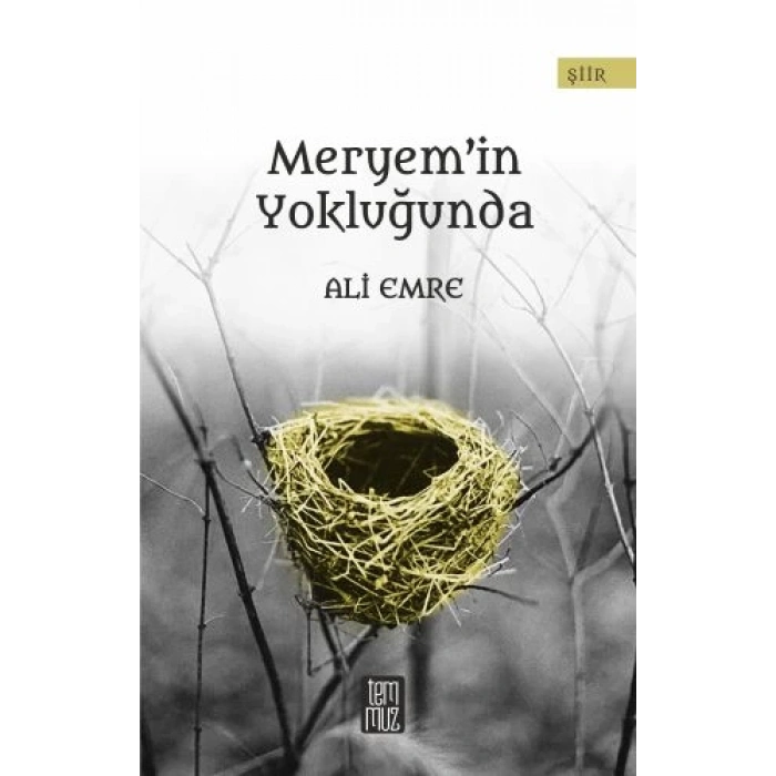 Meryemin Yokluğunda