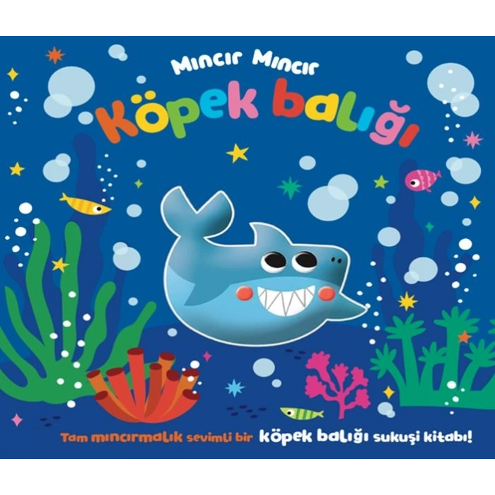 Mıncır Mıncır Köpek Balığı