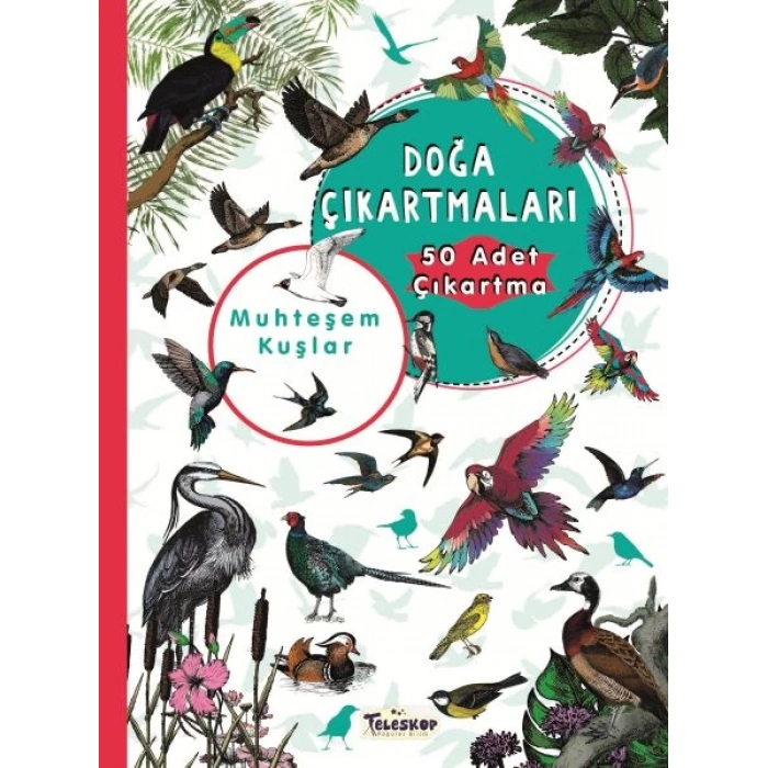 Muhteşem Kuşlar - Doğa Çıkartmaları