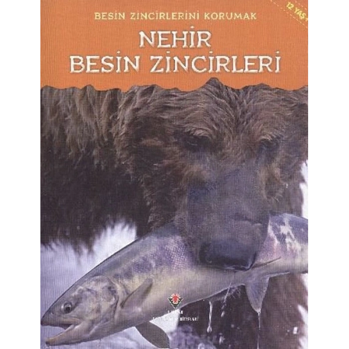 Nehir Besin Zincirleri