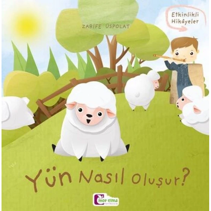 Oluşum Hikayeleri - Yün nasıl oluşur?
