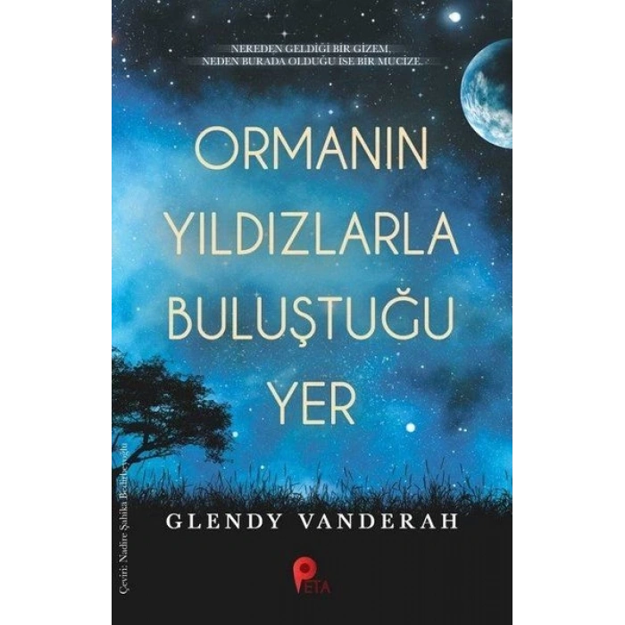 Ormanın Yıldızlarla Buluştuğu Yer