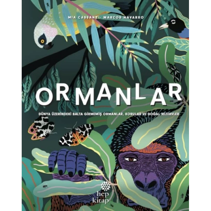 Ormanlar - Dünya  Üzerindeki Balta Girmemiş  Ormanlar, Korular ve Doğal  Rezervler