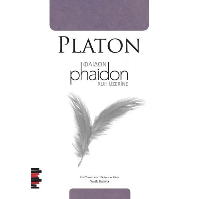 Phaidon - Ruh Üzerine