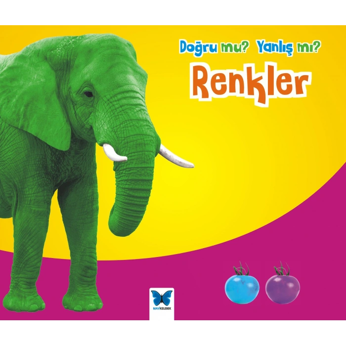 Renkler / Doğru mu Yanlış mı?