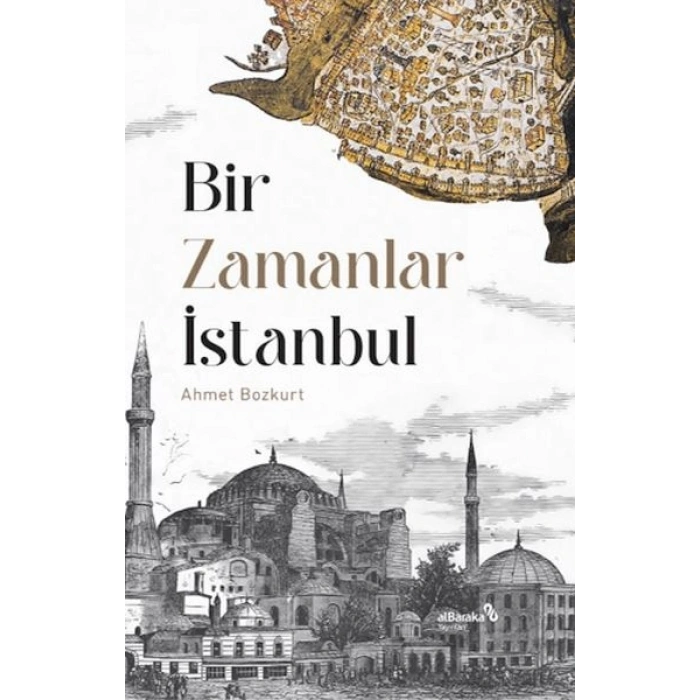 Renkli Taşlar