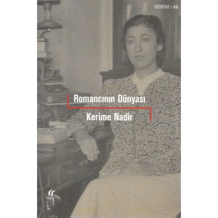 Romancının Dünyası