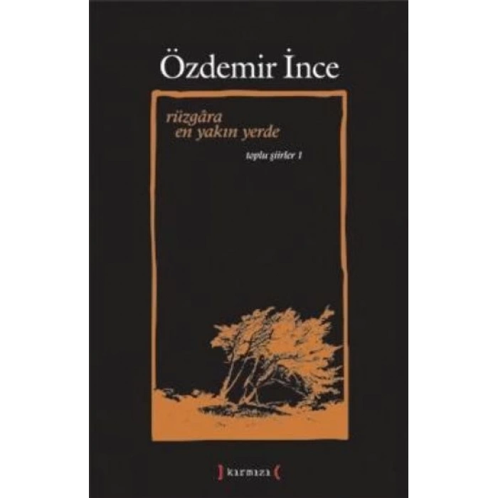 Rüzgara En Yakın Yerde / Toplu Şiirler I