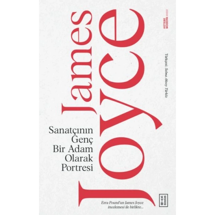 Sanatçının Genç Bir Adam Olarak Portresi