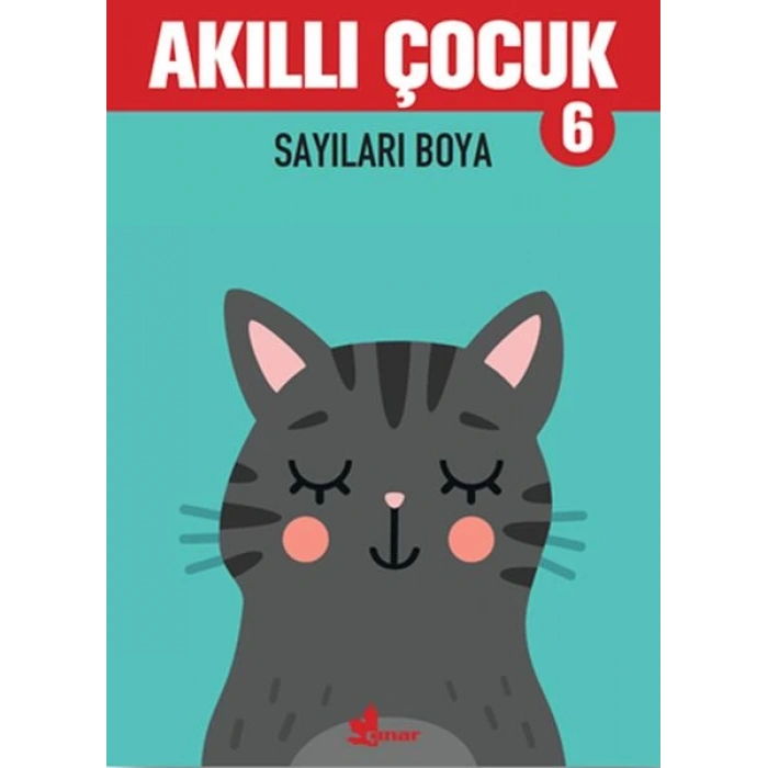 Sayıları Boya - Akıllı Çocuk 6