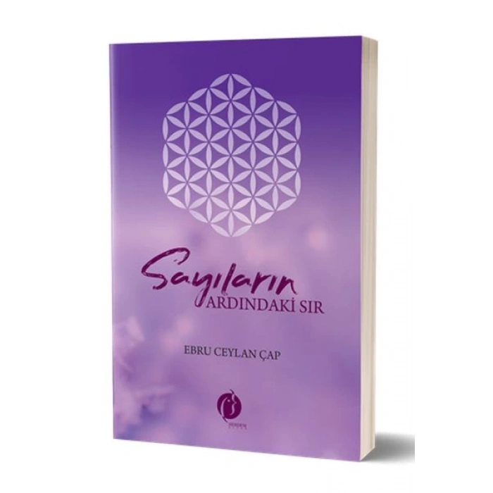 Sayıların Ardındaki Sır