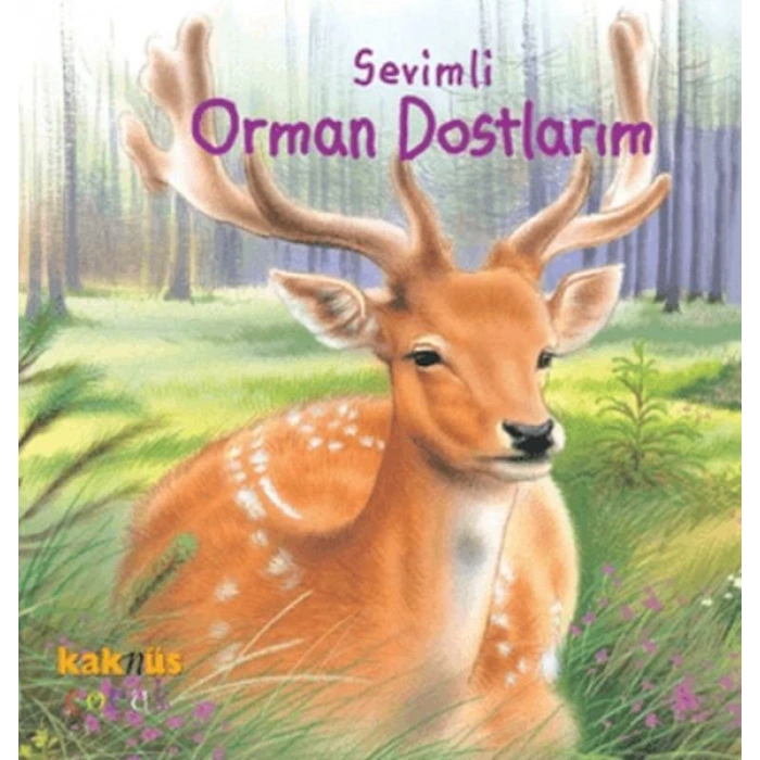 Sevimli Orman Dostlarım