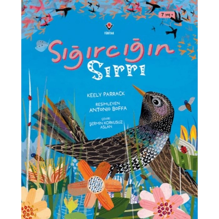 Sığırcığın Sırrı