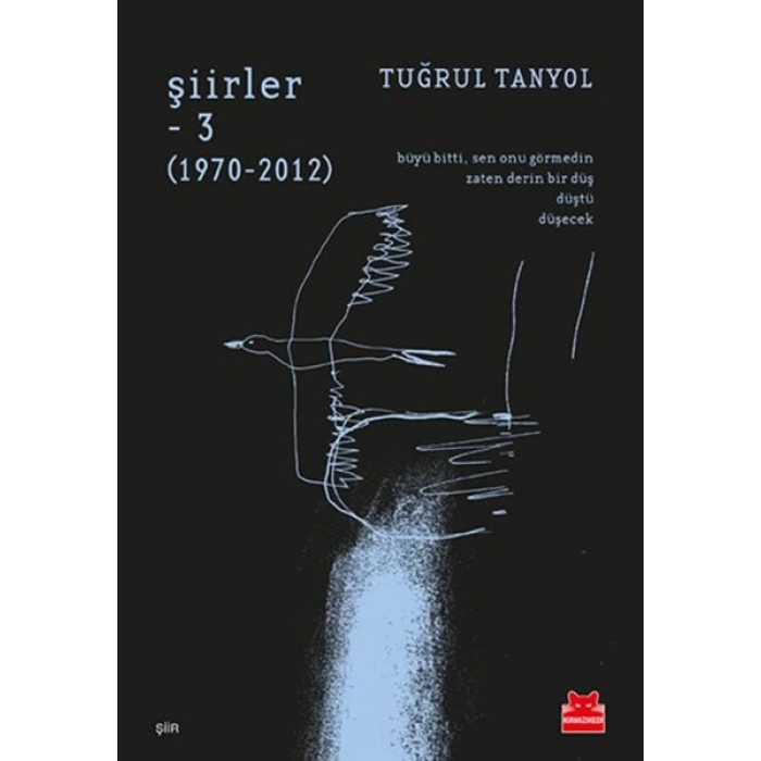 Şiirler - 3 (1970-2012)