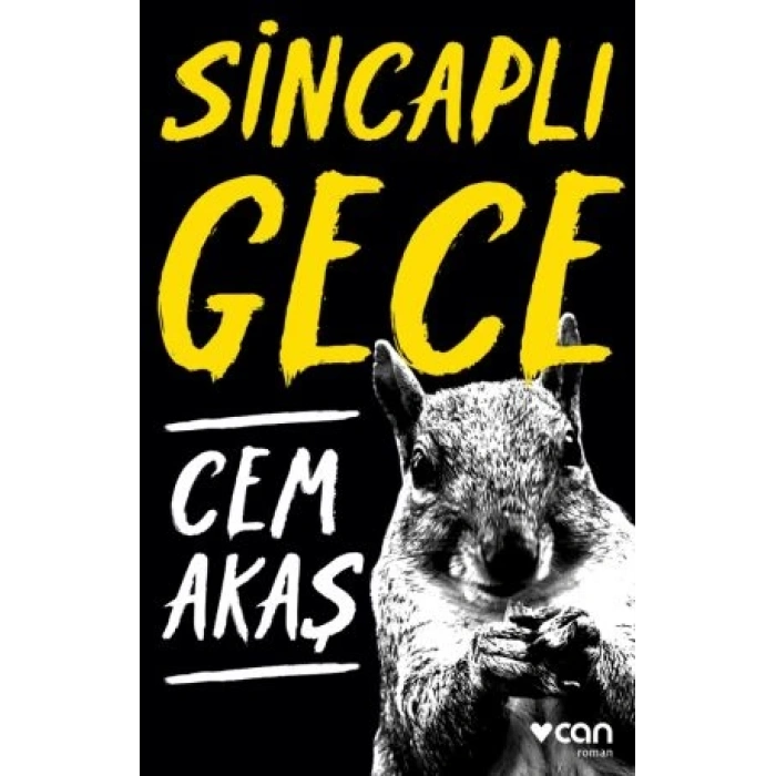 Sincaplı Gece